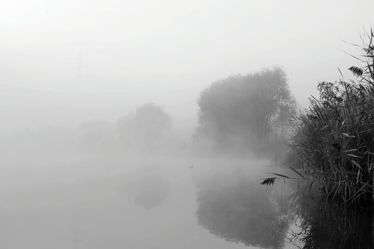 SCENIC VIEW OF LAKE IN FOGGY WEATHER