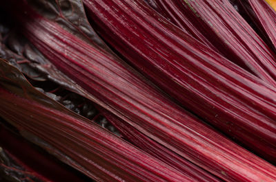 Close-up pink color objects