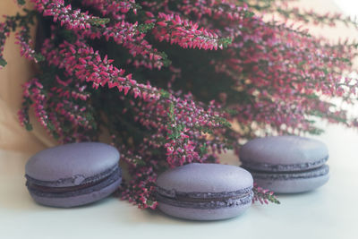 Close-up of cake on table