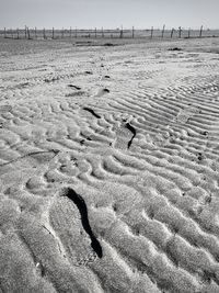 High angle view of man walking on beach