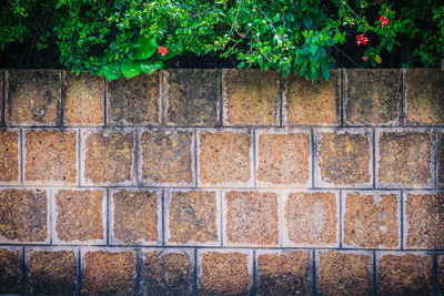 Full frame shot of brick wall