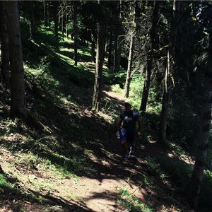 Rear view of man walking amidst trees in forest