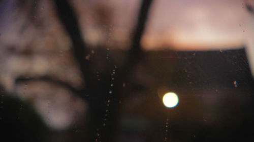 Full frame shot of wet spider web in rain