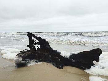 Scenic view of sea shore against sky