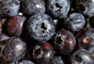 Full frame shot of blueberries