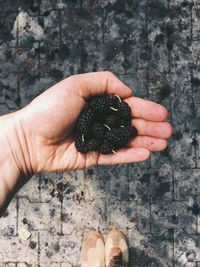 Handful of berries picked from orchard