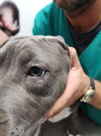 Close-up of man with dog