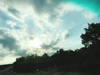 Low angle view of silhouette trees against sky