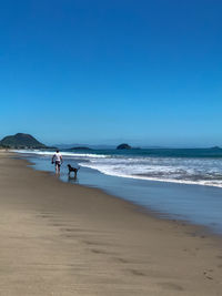 Scenic view of beach against clear blue sky