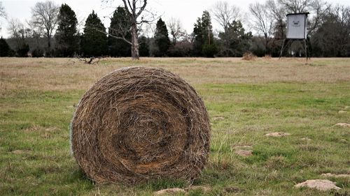 Hay bales on field against sky