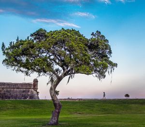 Scenic view of grassy field against cloudy sky