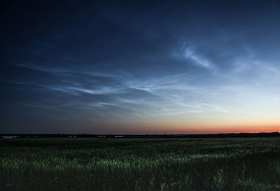 Scenic view of agricultural field against sky during sunset