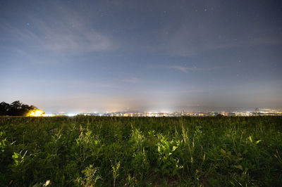 Scenic view of field against sky at night