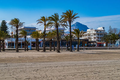 Palm trees on beach against blue sky