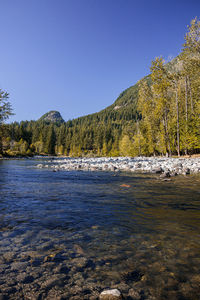 Scenic view of river against clear blue sky