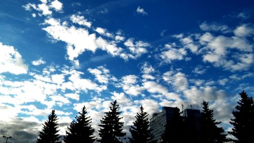 Low angle view of silhouette trees against sky