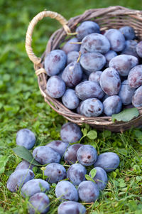 High angle view of fruits in basket