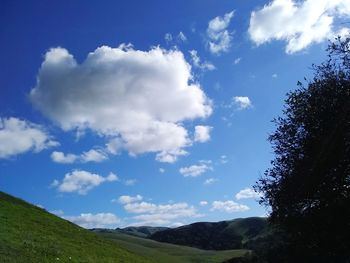Low angle view of trees against sky