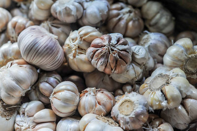 Full frame shot of seashells