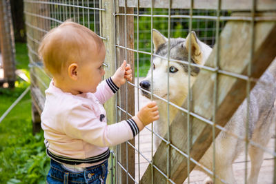 Cute baby looking at dog in cage