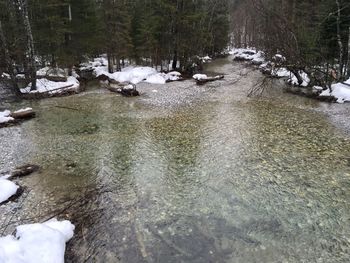 Scenic view of river flowing in forest during winter