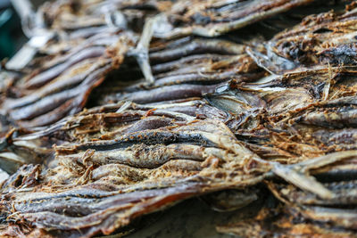 Close-up of dry fish for sale at market