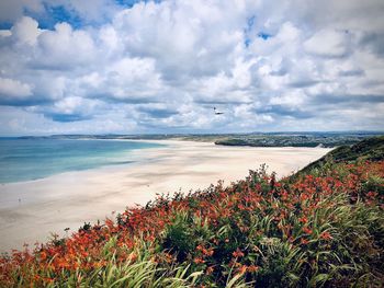 Porthkidney beach, cornwall uk