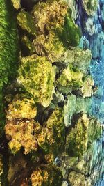 High angle view of rocks in sea