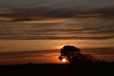 Silhouette trees on field against orange sky