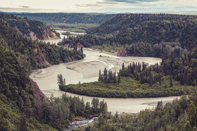 High angle view of river amidst trees