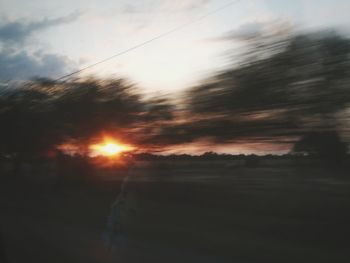 Silhouette trees against sky during sunset