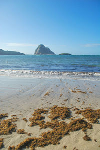 Scenic view of beach against clear blue sky