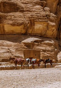 People walking in cave