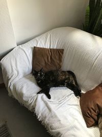 High angle view of cat sleeping on bed