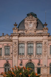 Flowering plant in front of historic building