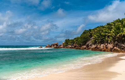 Idyllic tropical beach with sea waves and palm trees on sunny day in summer.