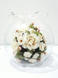 Close-up of white flowers