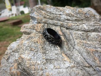 Close-up of black ring on rock