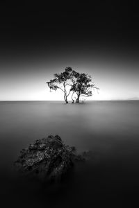 Scenic view of tree by sea against sky