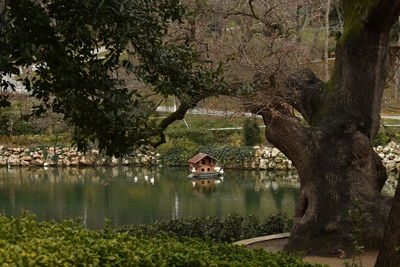 Scenic view of lake in forest