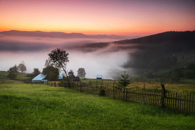 Scenic view of field against sky during sunset