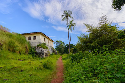 Plants and trees by building against sky