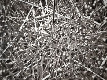 Full frame shot of plants during winter