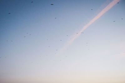 Low angle view of vapor trails in sky