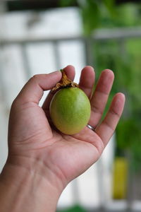 Close-up of hand holding fruit