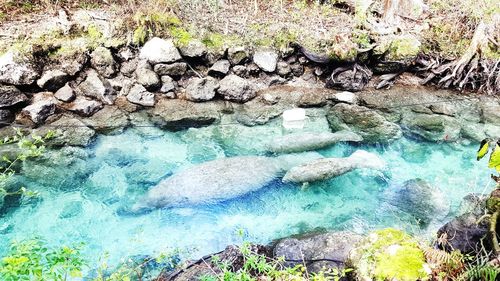 High angle view of rocks in sea