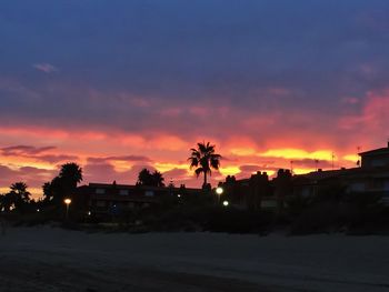 Silhouette of trees at sunset