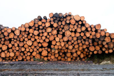 log