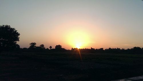 Silhouette of trees on landscape at sunset