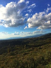 Scenic view of field against sky